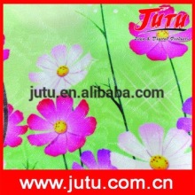 Beautiful Wall Paper