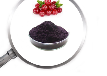 Cranberry Extract powder PAC 5% 10%
