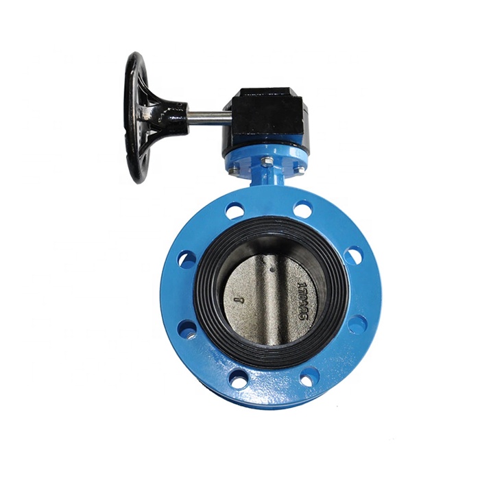 Pn16 Worm Gear SS316 Actuator Ductile Iron Double Flange Concentric Butterfly Valve