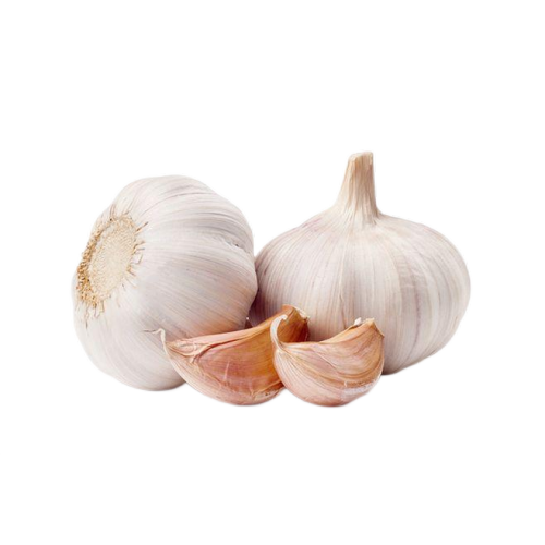 Garlic Extract powder Allicin 1%