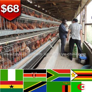 African poultry house design used poultry cage farm