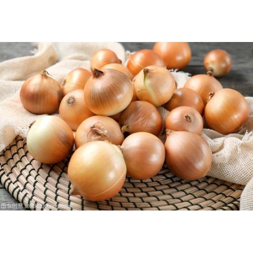 Chinese fresh elephant yellow onion