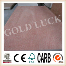Red Meranti Faced Commercial Plywood