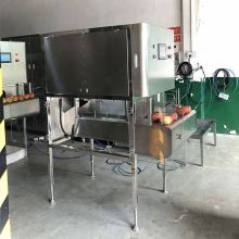 High Speed 1000 Pcs/Min Fruit Peeler Machine for Sale