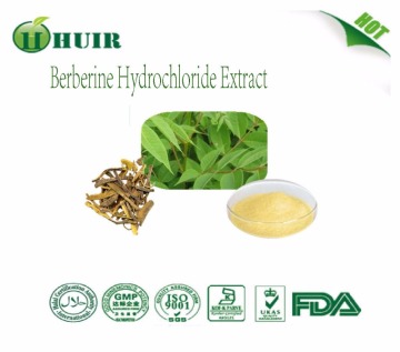 Natural Berberine Hcl extract powder