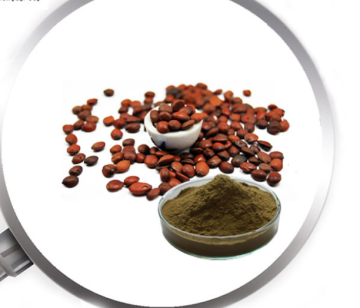 supply Ziziphi Jujube Seed Extract powder