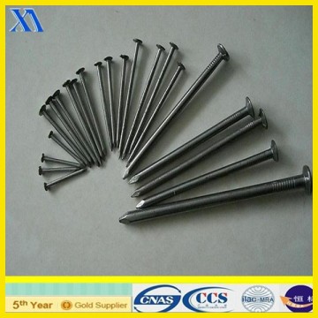 brads decorative nails/decorated artificial nails/wire brad nail