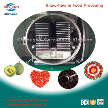 vacuum Freeze drying machine