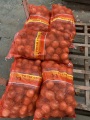 หัวหอมสีเหลืองสำหรับตลาดอินโดนีเซีย