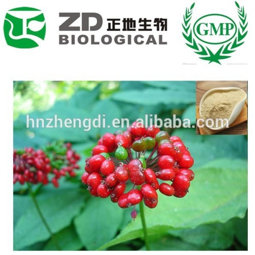 Buy Online China Panax Ginseng Extract Ginseng Powder for Health & Medical
