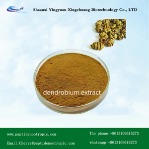 dendrobium candidum stem extract dendrobium extract good for