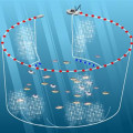 Pesca Purse Seine Net