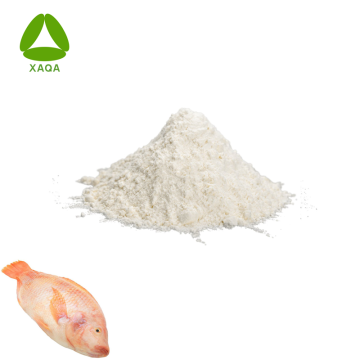 OEM Marine Fish Skin Collagen Peptide Powder