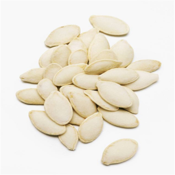 Organic Natural Dried Bulk Pumpkin Seeds