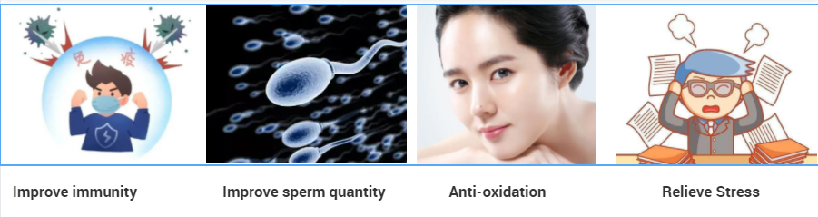 is ashwagandha root powder safe is ashwagandha root powder safe