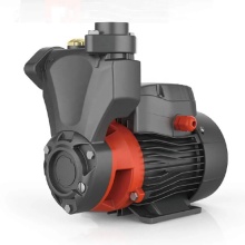 LEO APSm45F 0.55kw Peripheral Water Pump