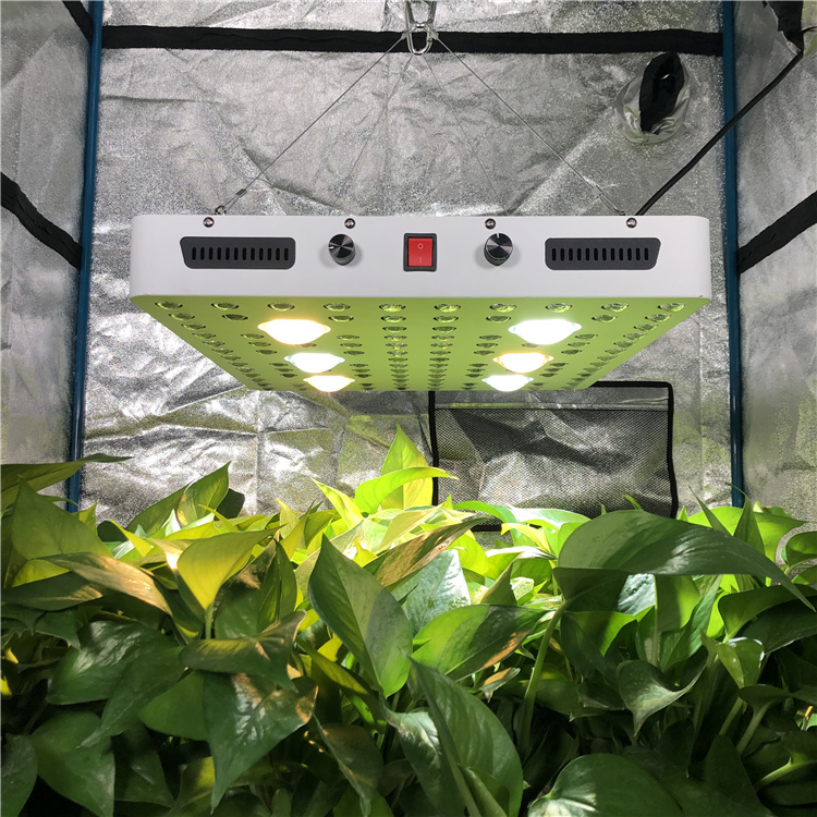 CXB3590 Cree COB Led Grow Light for Hydroponics