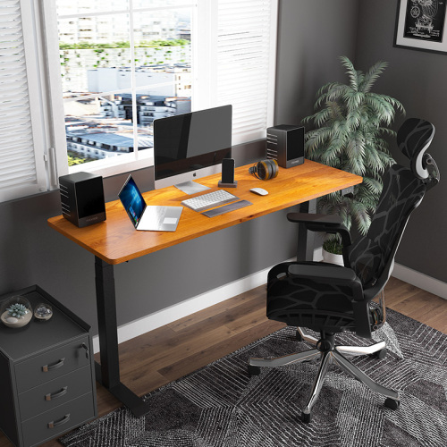 Height Adjustable Executive Desk Dual Motor