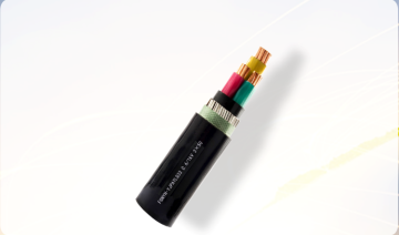 Salt spray resistant and seawater resistant cable