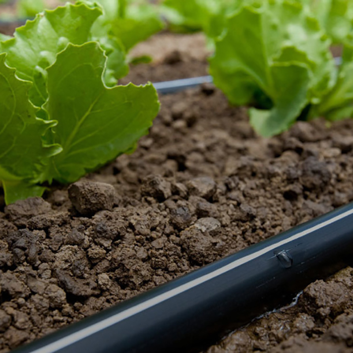 Drip Pipe For Greenhouse Irrigation System