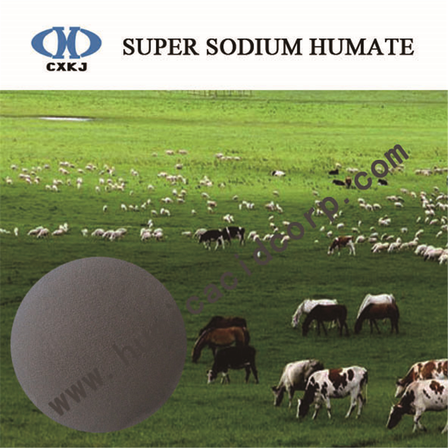 High Water Soluble Sodium Humate