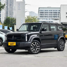 Chery car03 Electric SUV 2024 Wholesale