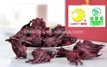 China Hibiscus Flower