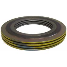 Flexible Graphite Spiral Wound Gasket