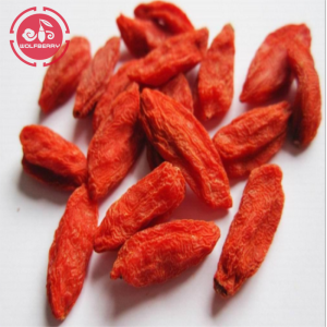 L&#39;alta qualità ha un sapore di bacche di Goji a basso contenuto di pesticidi