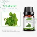 Частная марка чистое эфирное масло Spearmint Spearmint