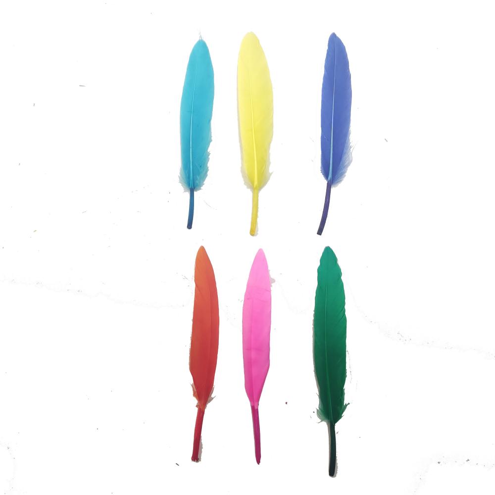 Colorful Goose Feather for Parties
