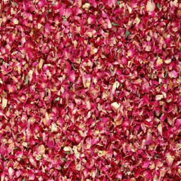 Dried red rose petals