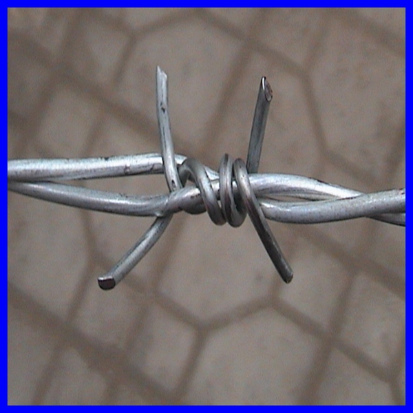 lowest price galvanized and pvc coated barbed wire