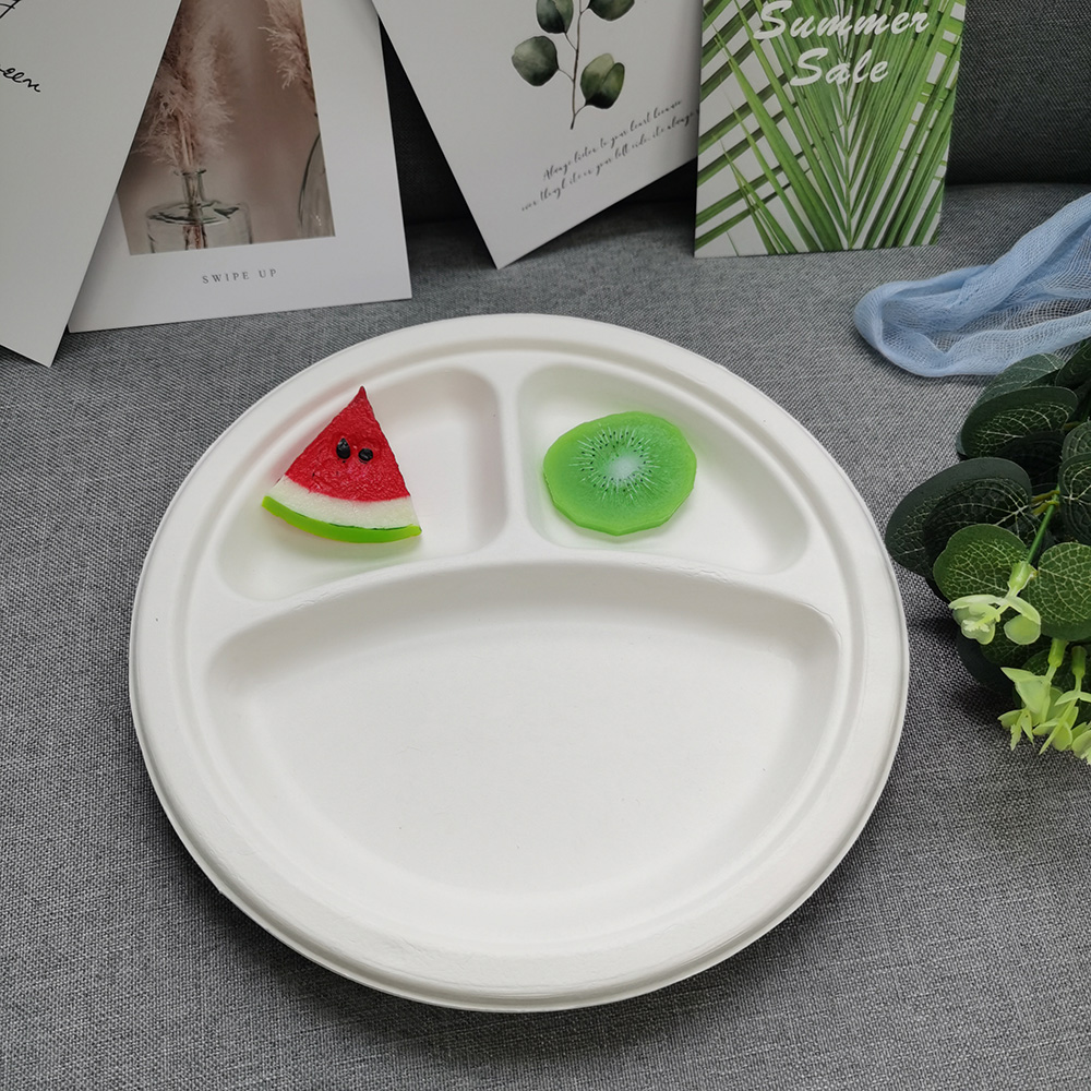 prato de bagaço bagasse plate