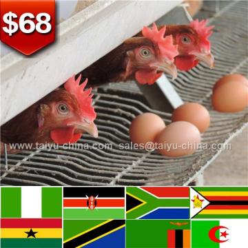 African automatic poultry farm in china farm