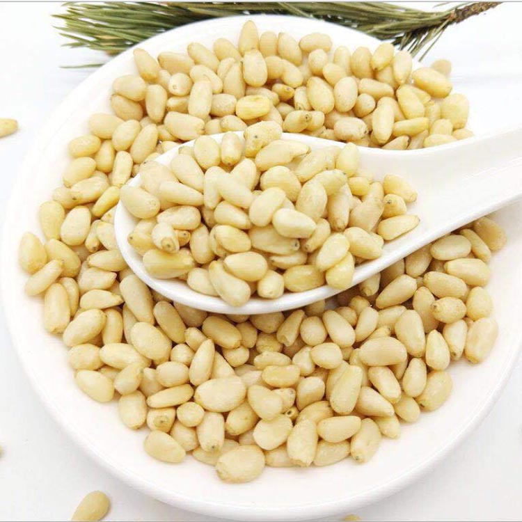 China Wholesale Dried Fruits Bulk In Shell Pine Nuts kernels