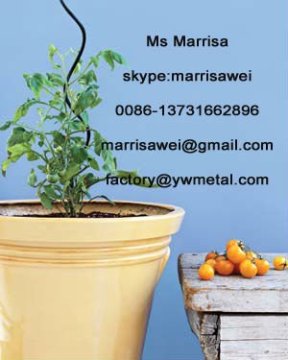 flower growing spiral wire