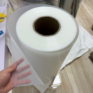 Food Packaging PP Plastic Sheet