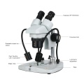 C 100V-240V Wide Range Binocular Stereo Microscope