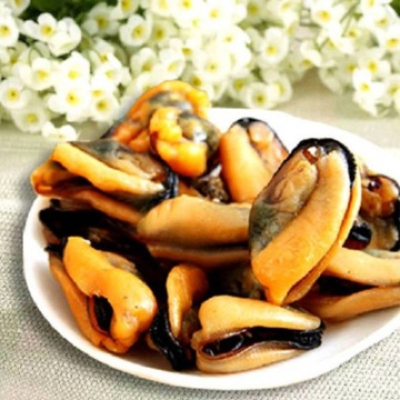 Frozen Cooked Boiled HACCP ISO Mussel Meat