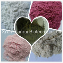 Mulberry Extract Powder / Mulberry Fruit Enzyme / Mulberry Fruit Powder