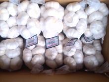 Stable and reliable garlic