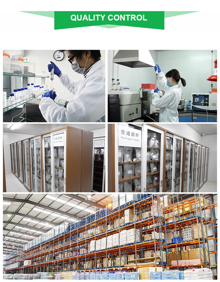 GMP Factory Supply Turmeric Softgel