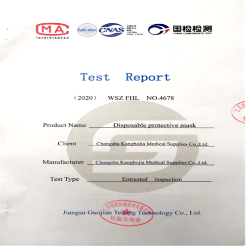 test report