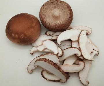 100% Natural Dehydrated Mushroom Slice