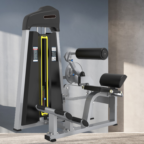 Attrezzatura di fitness funzionale Back / Addominal Machine