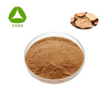 Cistanche Tubulosa Extract 20% Echinacoside Powder