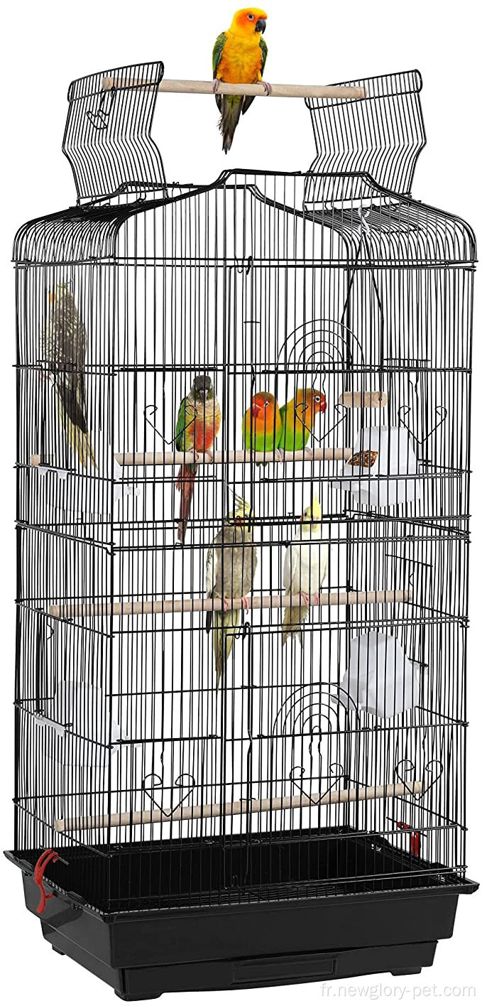 Cages d&#39;oiseaux de perruche ouverte de 41 pouces