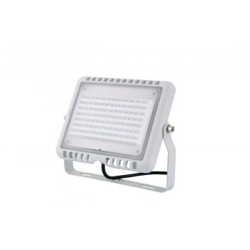 Architectural Dusk-to-Dawn Waterproof LED Flood Light