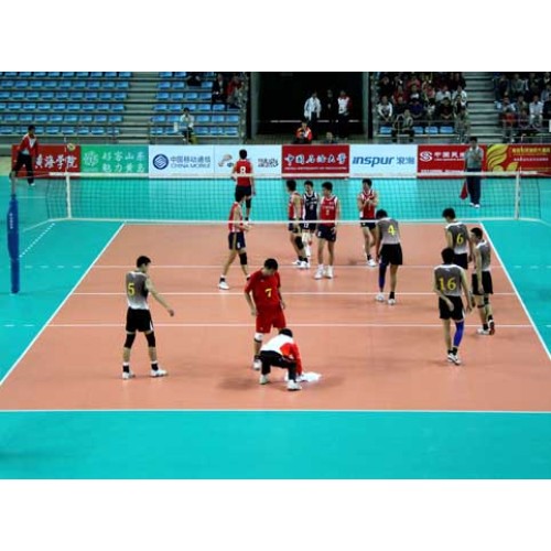 실내 FIVB 배구 코트 바닥